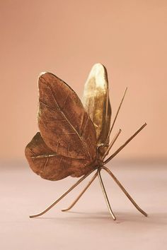 a brown and gold butterfly sitting on top of a table