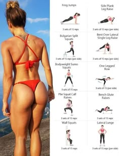 Major Muscles, Lower Body Workout, Muscle Groups, Glutes Workout, Workout Programs, Body Weight, No Equipment Workout, Fitness Inspiration, Abs Workout