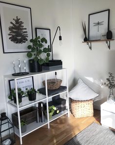 a living room with plants and pictures on the wall