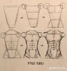 an image of how to draw male torsos