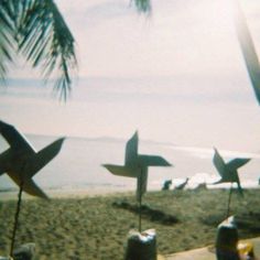 three metal birds sitting on top of a sandy beach next to the ocean and palm trees