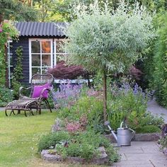 the garden is full of flowers and plants