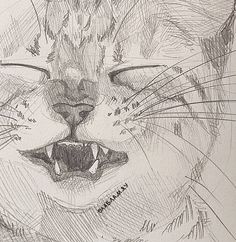 a pencil drawing of a cat's face with its mouth open and teeth wide