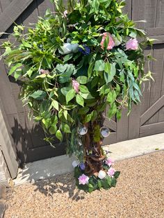 a potted plant with green leaves and pink flowers in front of a garage door