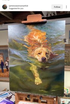 a painting of a golden retriever swimming in the water