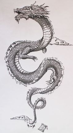 a black and white drawing of a dragon with its tail curled up in the air