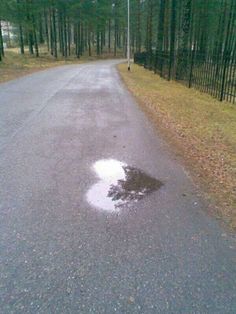 a road with the words written on it and trees in the backgroung