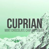 an advertisement for cuprian mint chocolate chip ice cream on the side of a mountain