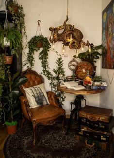 a living room filled with lots of plants and furniture