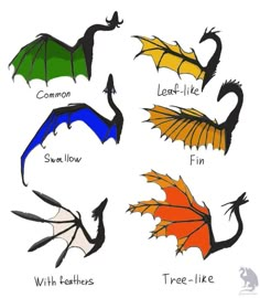 six different types of dragon wings with their names in each one's colors and sizes