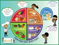 5 Food Groups, Five Food Groups, Healthy Plate, Nutrition Month, Groups Poster, Health Class, Colorful Poster, Food Groups, Homeschooling Ideas