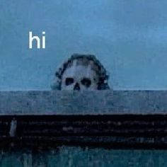 there is a skull in the water with words above it that read hi, and an image of a human head