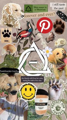 the collage has many different pictures and words on it, including an image of a dog