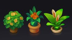 three potted plants are shown on a black background, one is green and the other is orange