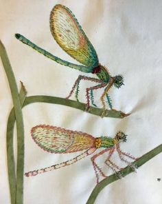 two dragonflys sitting on top of green stems