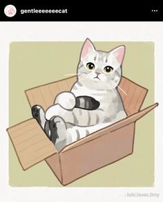 a cat is sitting in a box with its paws on the ground and looking at the camera