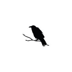 a black bird sitting on top of a tree branch silhouetted against a white sky