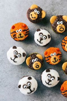 several cupcakes decorated to look like animals