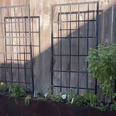 two metal planters filled with plants next to a wooden wall and fenced in area