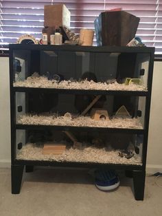 a shelf filled with lots of different types of items on top of carpeted floor