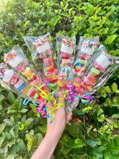 a hand holding a bunch of candy lollipops in cellophane bags