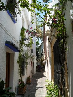 an alley way with potted plants on either side