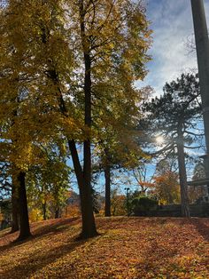 the sun shines through the trees in an autumn park