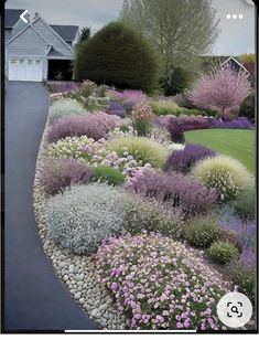 a garden with lots of different types of flowers and plants in it, along side a driveway