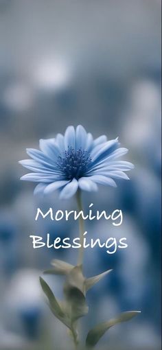 a blue flower with the words morning blessings written on it's front side