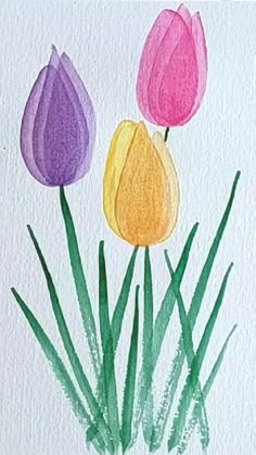 three tulips are shown in watercolor on paper