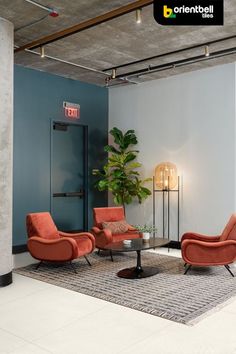 a living room with two chairs and a coffee table in front of a potted plant