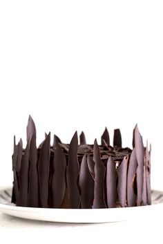 a close up of a cake on a plate with chocolate icing and leaves around it