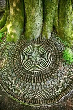 a circular design made out of rocks on the ground in front of a tree trunk