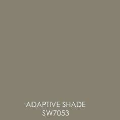 the words, adaptive shade sw7053 are in white letters on a gray background