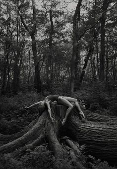 naked woman laying on top of a tree stump in the woods