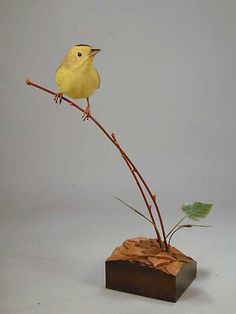 a small yellow bird sitting on top of a tree branch next to a green plant