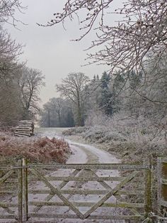 the gate is open to let in some snow