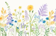 a field full of different colored flowers on a white background