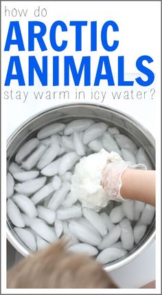 an ice bucket filled with water and white stuff