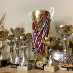 several trophies are lined up on a shelf