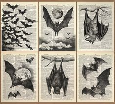 four bats flying over the moon and clouds on an old book page, in black and white