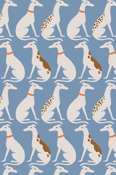 an image of dogs that are sitting in the same pattern on a blue wallpaper