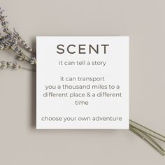 Square card with sans serif text describing power of scent. Card is laid on top of dried lavender leavess.  www.aglynt.com Business Candle, Candle Business Marketing, Candles Marketing, Candle Facts, Scent Quotes, Candle Business Content Ideas, Candle Care, Candle Business Captions For Instagram