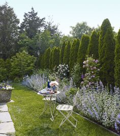 an image of a garden with purple flowers