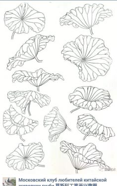 some leaves and flowers are drawn in black ink