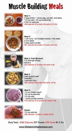 Muscle Building Meals, Muscle Meals, Muscle Building Meal Plan, Pasti Fit, Workout Meals, Exercise Muscle, Lifestyle Workout