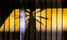 the shadow of a palm tree on a yellow and black wall with vertical bars in it