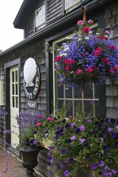 purple and red flowers are in front of a building with a sign that says the oyster house