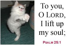 a white cat standing on its hind legs with the words to you, o lord, i lift up my soul