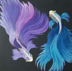 two blue and purple fish are facing each other with their tails curled in the air